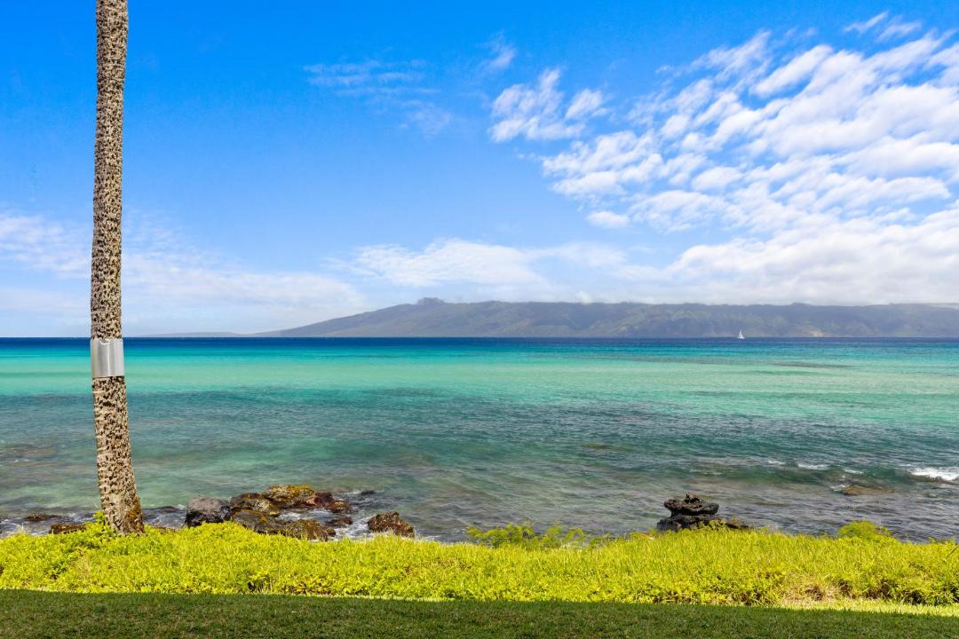 Photo of Others in Kahana