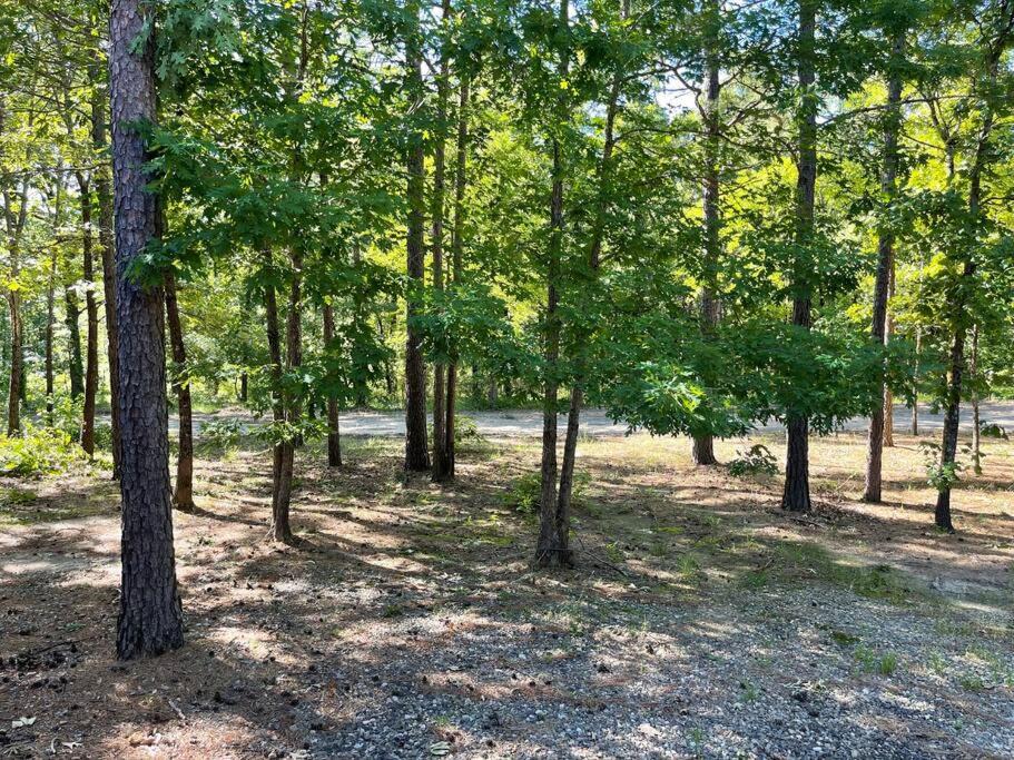Photo of Outdoor in Pickens
