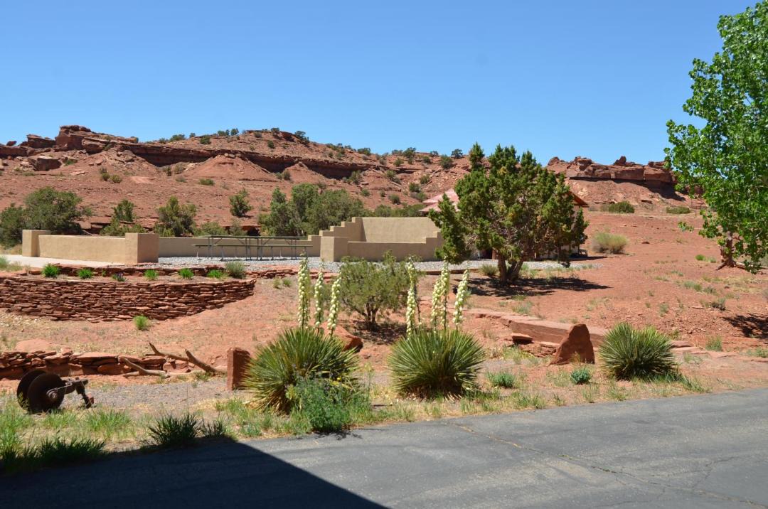Photo of Buildings in Torrey