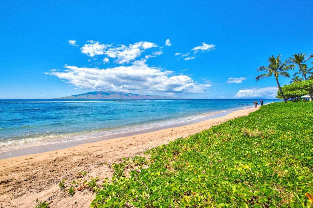 Photo of Outdoor in Historic Lahaina Front Street