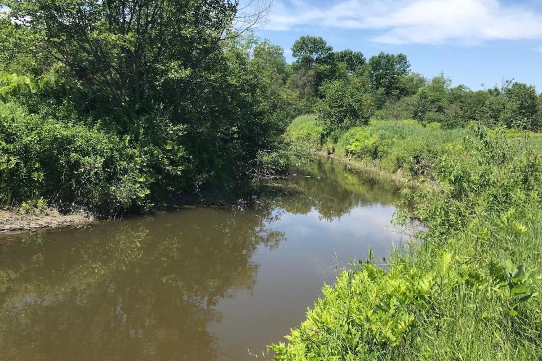 Photo of Outdoor in New Gloucester