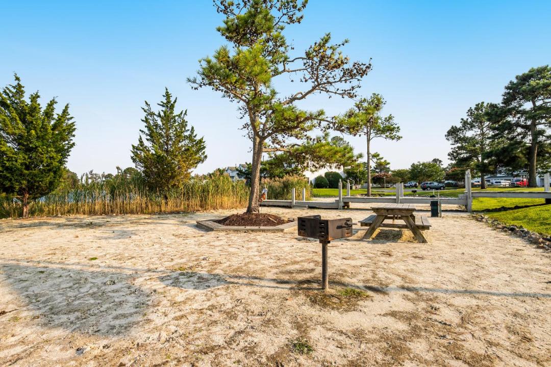 Photo of Outdoor in Selbyville
