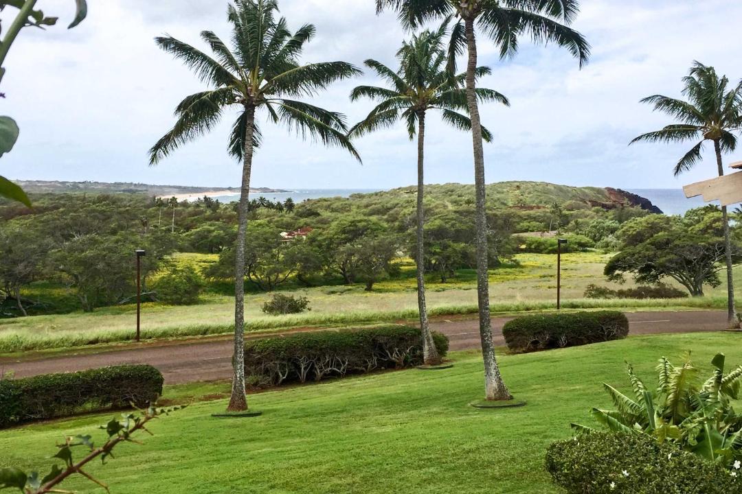 Photo of Others in Maunaloa