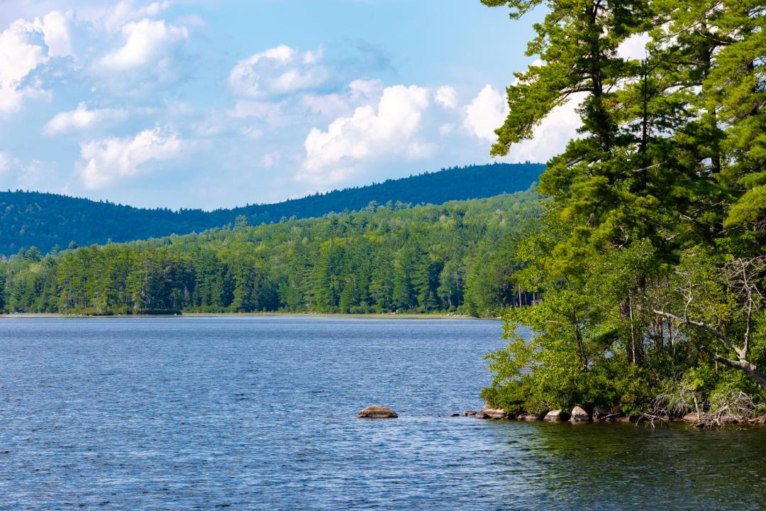 Photo of Others in Bridgton