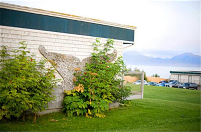 Photo of Others in Homer