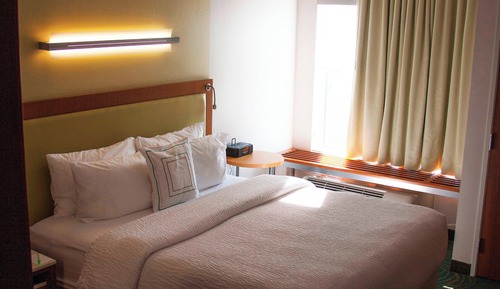 Studio, 1 King Bed with Sofa bed (Mobility/Hearing Access, Roll-in Shwr)
