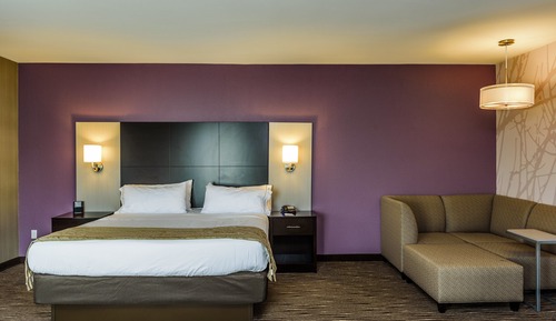 Standard Room, 1 King Bed with Sofa bed