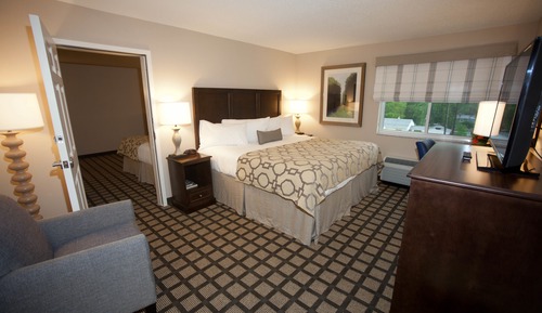 Room, 1 King Bed, Non Smoking