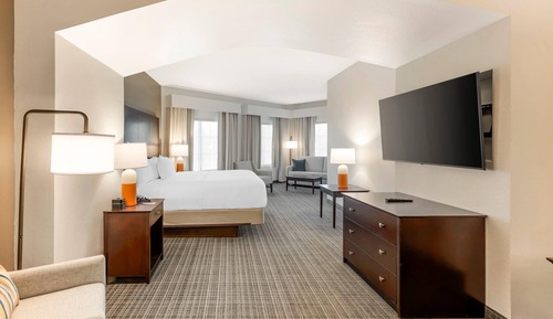 Suite, 1 King Bed with Sofa bed, Non Smoking