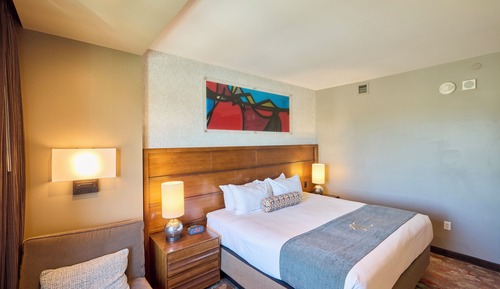 Deluxe Room, 1 King Bed, Mobility Accessible, Non Smoking (Hearing Accessible, Tub w Grab Bars)