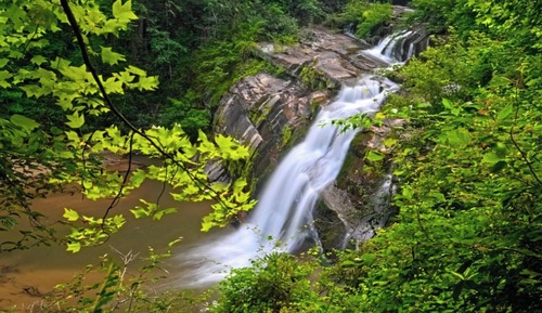 Waterfall Retreat -Two Bedroom Apartment