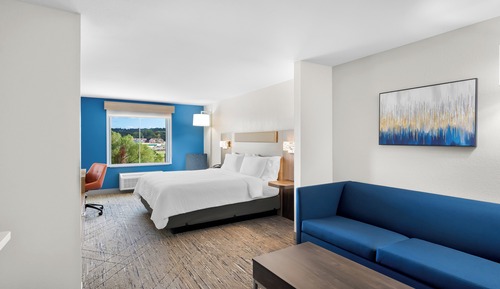 Suite, 1 King Bed