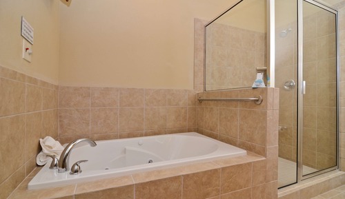 Standard Room, 1 King Bed, Non Smoking, Jetted Tub (Walk-in Shower)