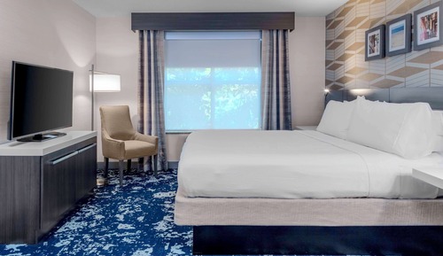 Room, 1 King Bed