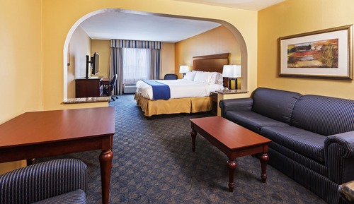 Suite, 1 King Bed with Sofa bed