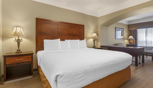 Suite, 1 King Bed, Non Smoking, Refrigerator & Microwave (with Sofabed)