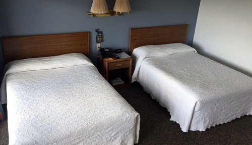 Pet Friendly Room, 2 Double Beds