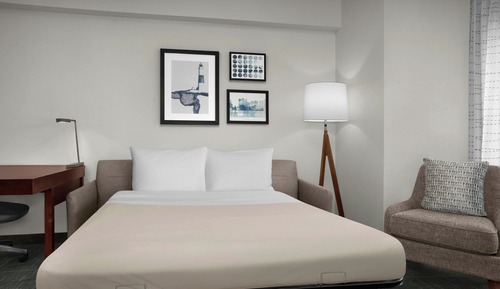 Studio, 1 King Bed with Sofa bed