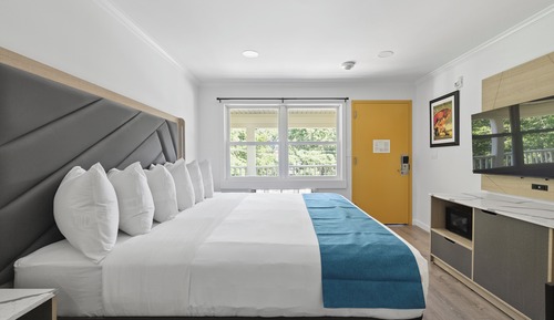 Classic Room, 1 King Bed