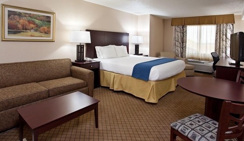 Suite, 1 King Bed with Sofa bed