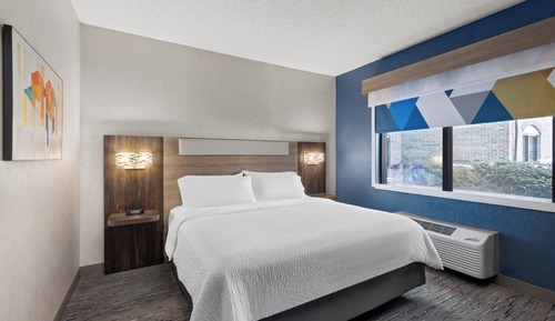 Suite, 1 Bedroom (Sofa Bed)