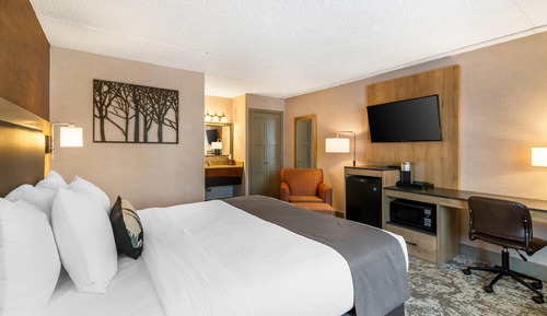Standard Room, 1 King Bed, Non Smoking