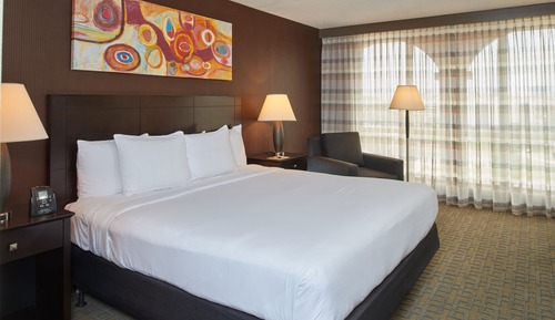 Room, 1 King Bed, Non Smoking