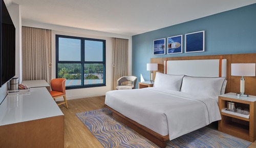 Traditional Room, 1 King Bed