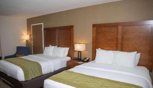 Room with One King Bed and One Queen Bed - Non-Smoking