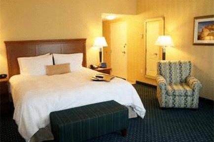 Corner Studio Suite with One King Bed and Roll-In Shower - Mobility Access