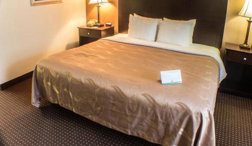 Standard King Room - Non-Smoking- Not Pet Friendly
