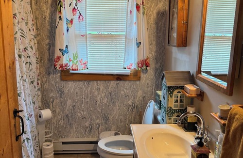 Conway Cabin | Cozy 3-bedroom cabin in welcoming Conway with AC, WiFi